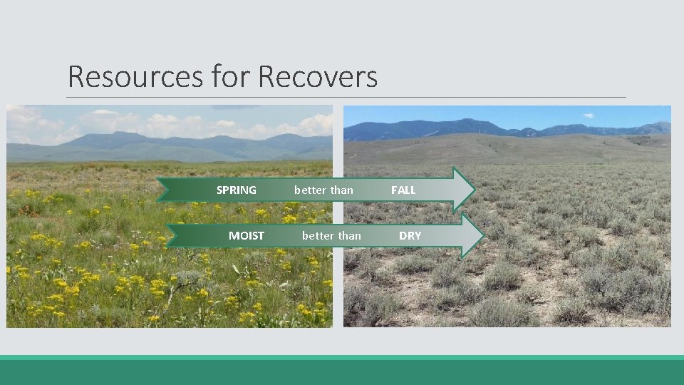Resources for Recovers SPRING MOIST better than FALL DRY 