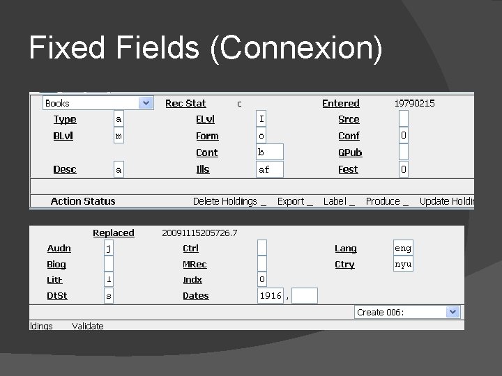 Fixed Fields (Connexion) 