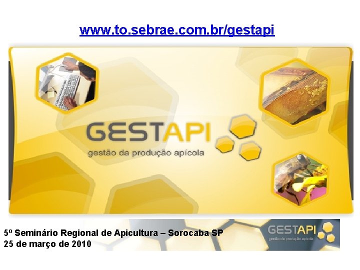 www. to. sebrae. com. br/gestapi 5º Seminário Regional de Apicultura – Sorocaba SP 25