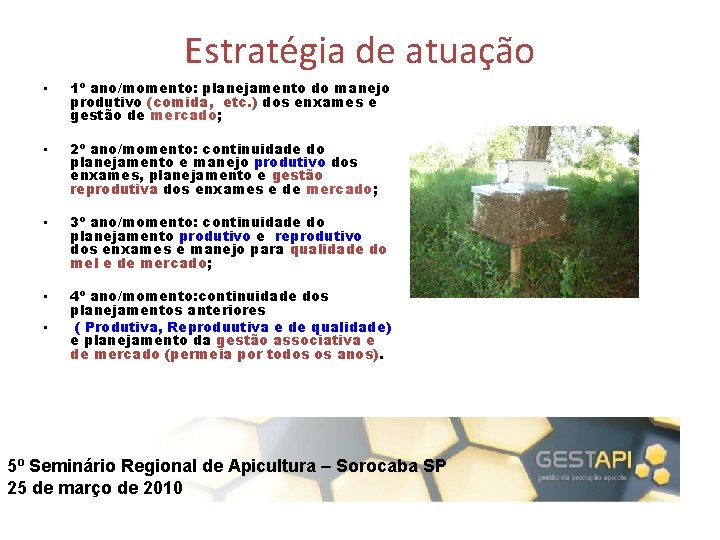 Estratégia de atuação • 1º ano/momento: planejamento do manejo produtivo (comida, etc. ) dos