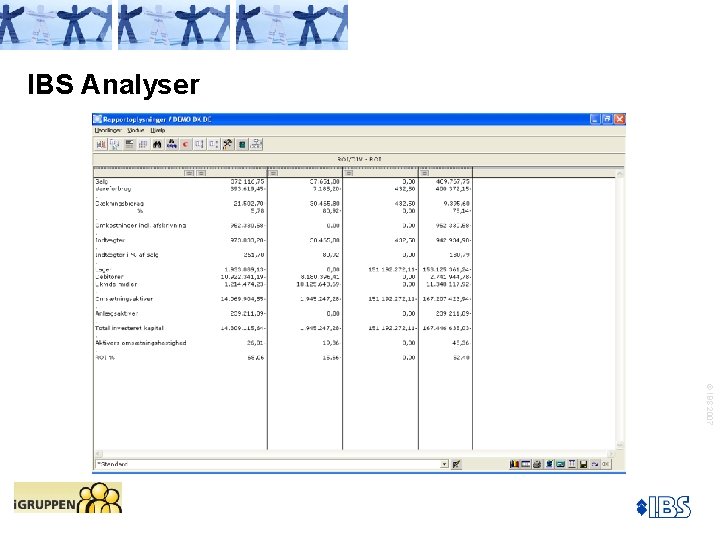 IBS Analyser © IBS 2007 