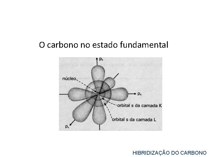 O carbono no estado fundamental HIBRIDIZAÇÃO DO CARBONO 