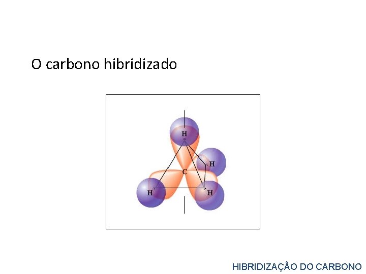 O carbono hibridizado HIBRIDIZAÇÃO DO CARBONO 