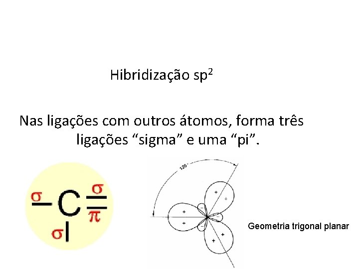 Hibridização sp 2 Nas ligações com outros átomos, forma três ligações “sigma” e uma