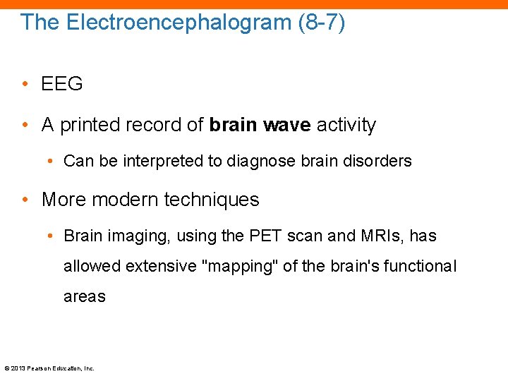 The Electroencephalogram (8 -7) • EEG • A printed record of brain wave activity