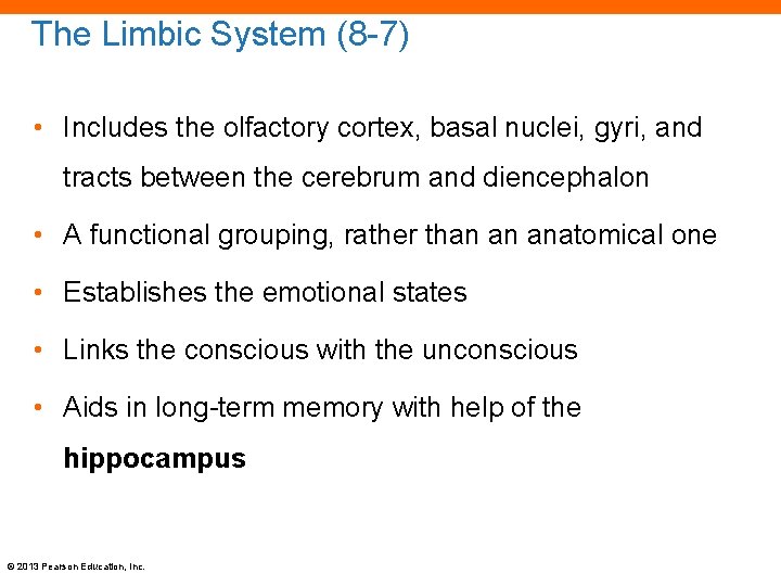 The Limbic System (8 -7) • Includes the olfactory cortex, basal nuclei, gyri, and