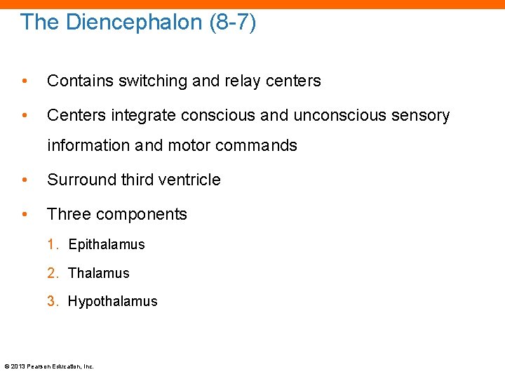 The Diencephalon (8 -7) • Contains switching and relay centers • Centers integrate conscious