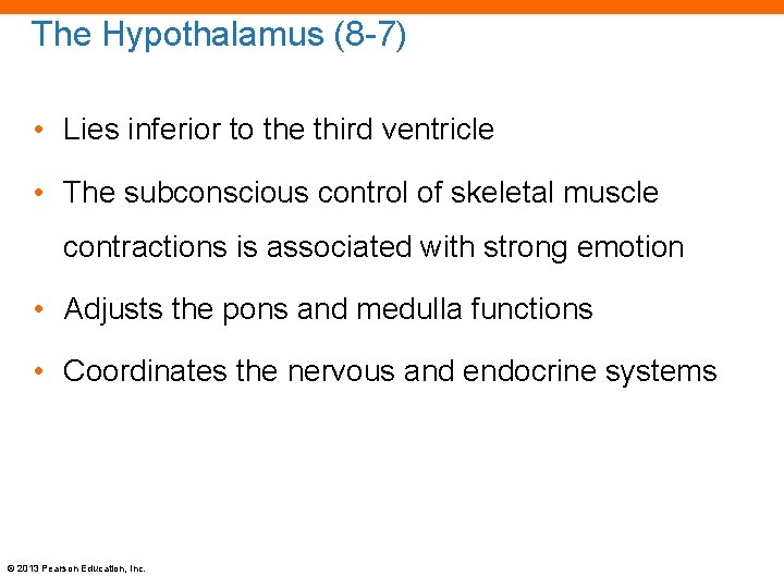 The Hypothalamus (8 -7) • Lies inferior to the third ventricle • The subconscious