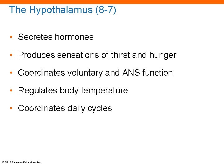 The Hypothalamus (8 -7) • Secretes hormones • Produces sensations of thirst and hunger