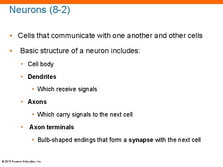 Neurons (8 -2) • Cells that communicate with one another and other cells •