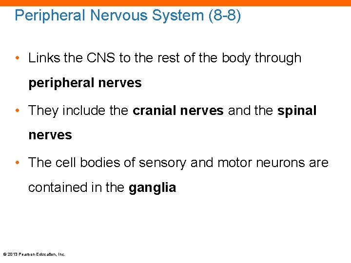 Peripheral Nervous System (8 -8) • Links the CNS to the rest of the