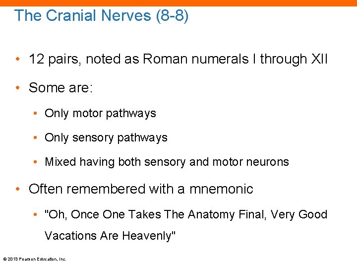 The Cranial Nerves (8 -8) • 12 pairs, noted as Roman numerals I through