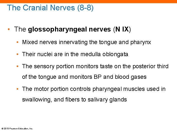 The Cranial Nerves (8 -8) • The glossopharyngeal nerves (N IX) • Mixed nerves