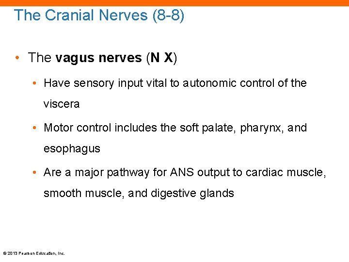 The Cranial Nerves (8 -8) • The vagus nerves (N X) • Have sensory