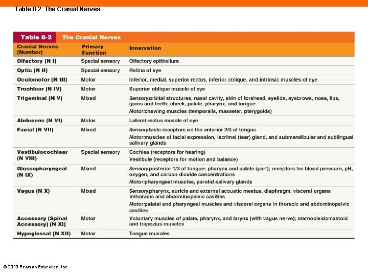 Table 8 -2 The Cranial Nerves © 2013 Pearson Education, Inc. 