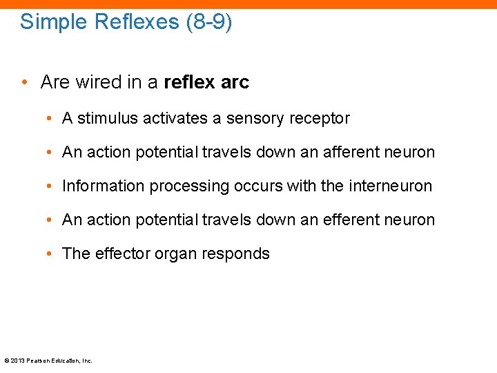 Simple Reflexes (8 -9) • Are wired in a reflex arc • A stimulus