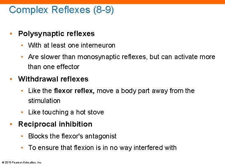 Complex Reflexes (8 -9) • Polysynaptic reflexes • With at least one interneuron •