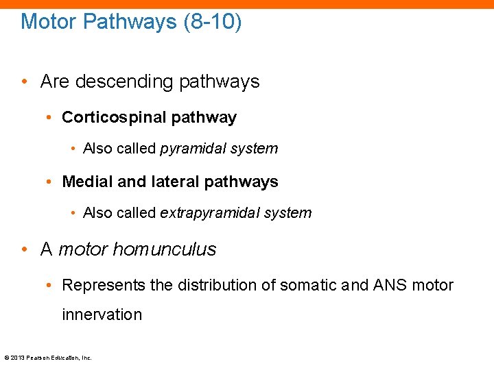 Motor Pathways (8 -10) • Are descending pathways • Corticospinal pathway • Also called
