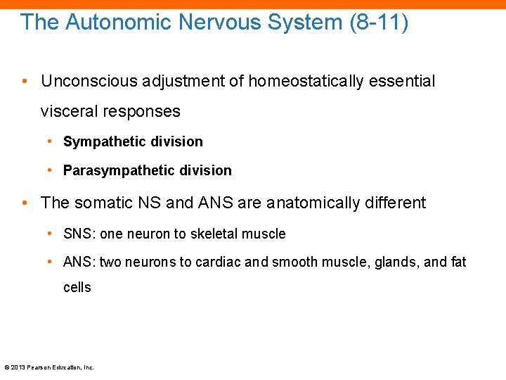 The Autonomic Nervous System (8 -11) • Unconscious adjustment of homeostatically essential visceral responses