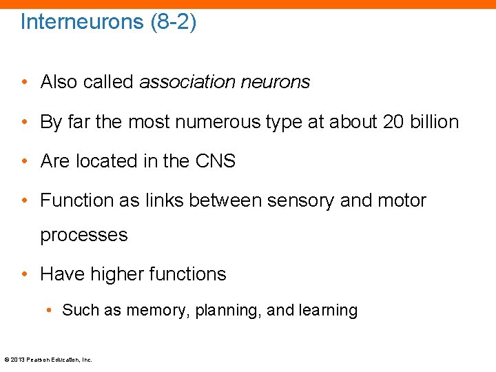 Interneurons (8 -2) • Also called association neurons • By far the most numerous
