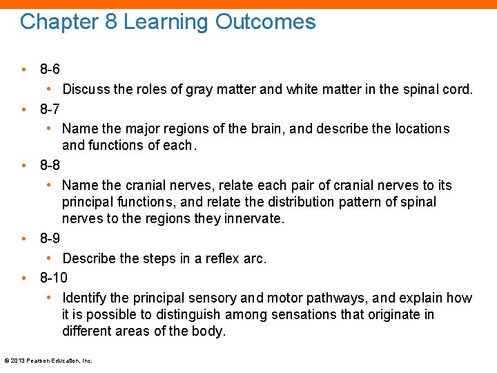 Chapter 8 Learning Outcomes • 8 -6 • Discuss the roles of gray matter