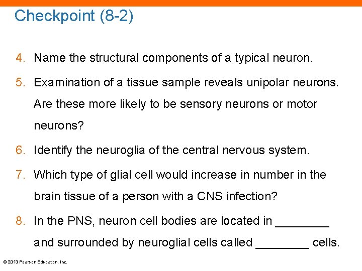 Checkpoint (8 -2) 4. Name the structural components of a typical neuron. 5. Examination