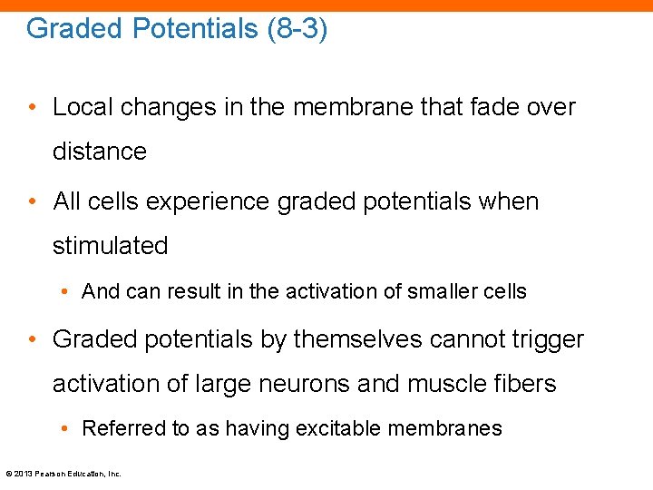 Graded Potentials (8 -3) • Local changes in the membrane that fade over distance