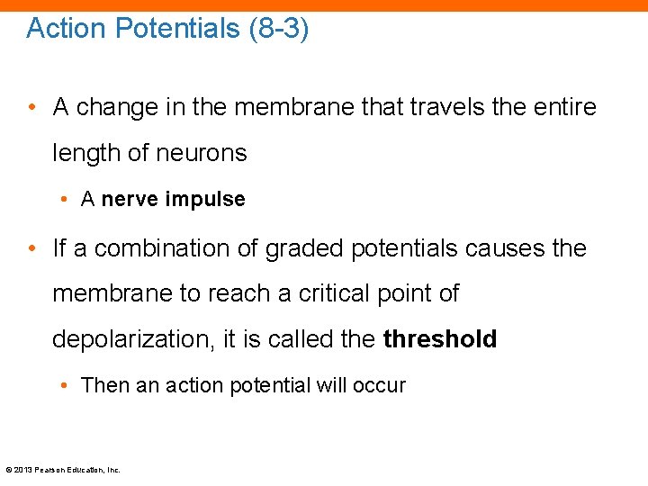 Action Potentials (8 -3) • A change in the membrane that travels the entire