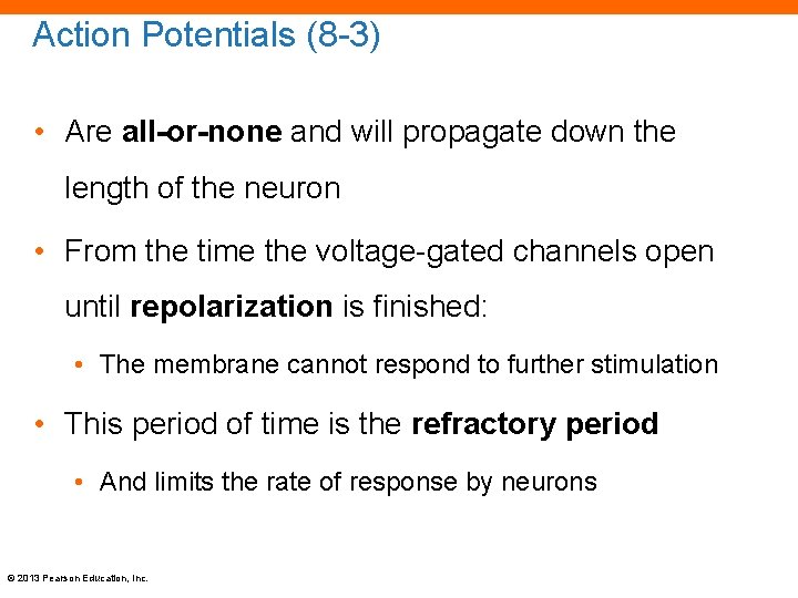 Action Potentials (8 -3) • Are all-or-none and will propagate down the length of