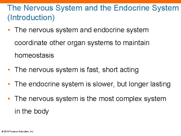 The Nervous System and the Endocrine System (Introduction) • The nervous system and endocrine