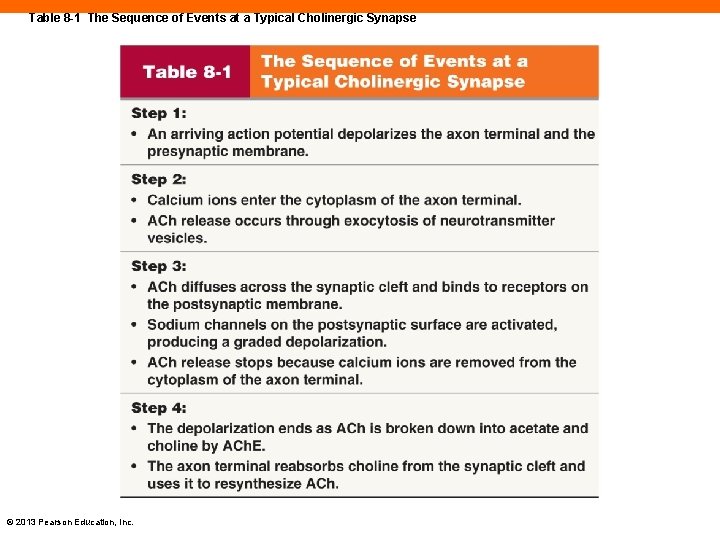 Table 8 -1 The Sequence of Events at a Typical Cholinergic Synapse © 2013