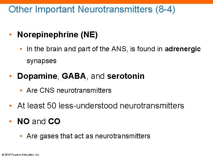 Other Important Neurotransmitters (8 -4) • Norepinephrine (NE) • In the brain and part