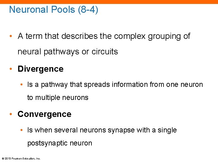 Neuronal Pools (8 -4) • A term that describes the complex grouping of neural