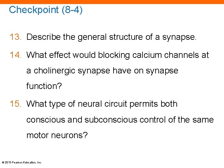 Checkpoint (8 -4) 13. Describe the general structure of a synapse. 14. What effect