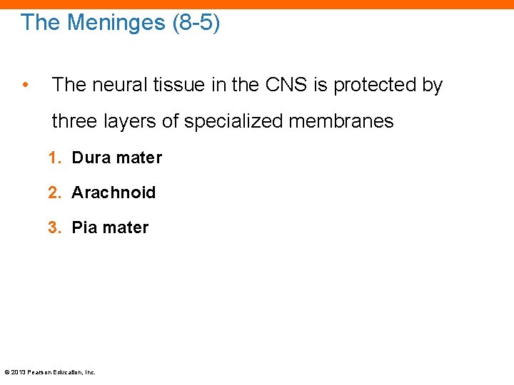 The Meninges (8 -5) • The neural tissue in the CNS is protected by