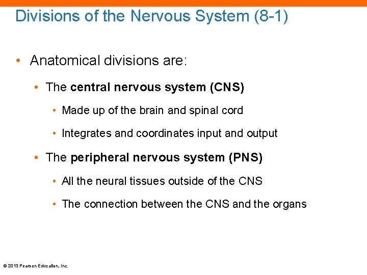 Divisions of the Nervous System (8 -1) • Anatomical divisions are: • The central