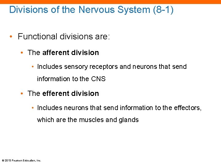 Divisions of the Nervous System (8 -1) • Functional divisions are: • The afferent