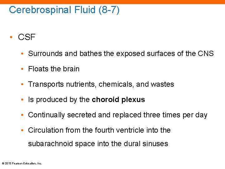 Cerebrospinal Fluid (8 -7) • CSF • Surrounds and bathes the exposed surfaces of