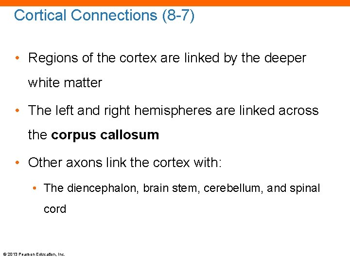 Cortical Connections (8 -7) • Regions of the cortex are linked by the deeper