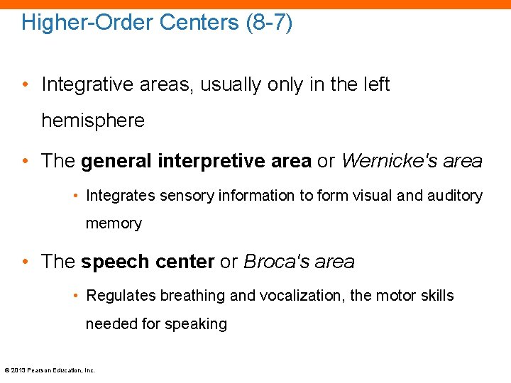 Higher-Order Centers (8 -7) • Integrative areas, usually only in the left hemisphere •