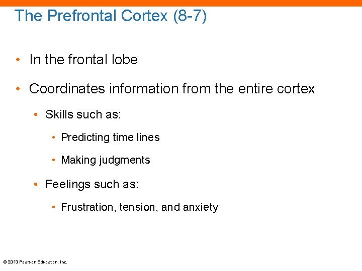 The Prefrontal Cortex (8 -7) • In the frontal lobe • Coordinates information from
