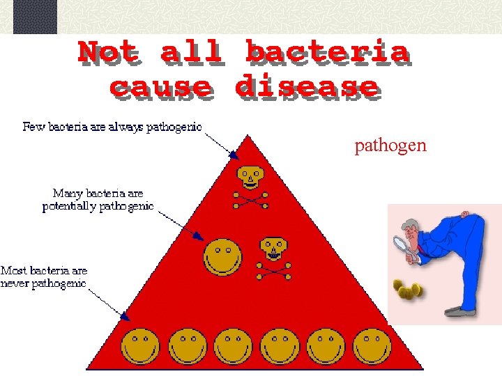 pathogen 