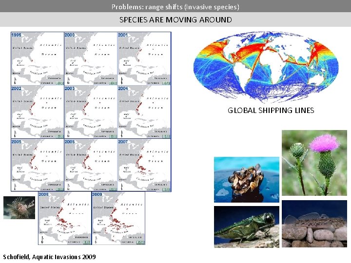 Problems: range shifts (Invasive species) SPECIES ARE MOVING AROUND GLOBAL SHIPPING LINES Schofield, Aquatic