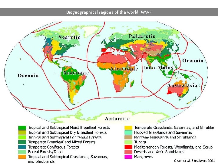 Biogeographical regions of the world: WWF Olson et al, Bioscience 2001 