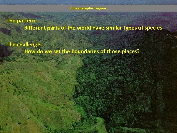 Biogeographic regions The pattern: different parts of the world have similar types of species