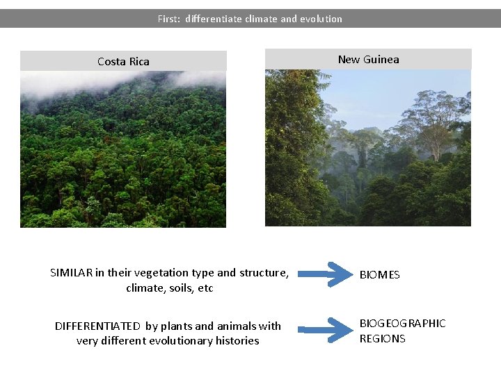 First: differentiate climate and evolution Costa Rica SIMILAR in their vegetation type and structure,