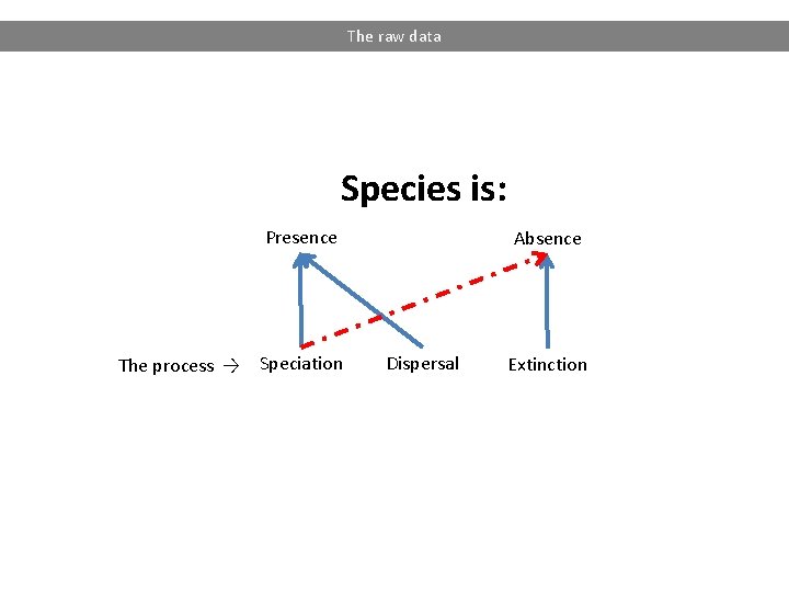 The raw data Species is: Presence The process → Speciation Absence Dispersal Extinction 