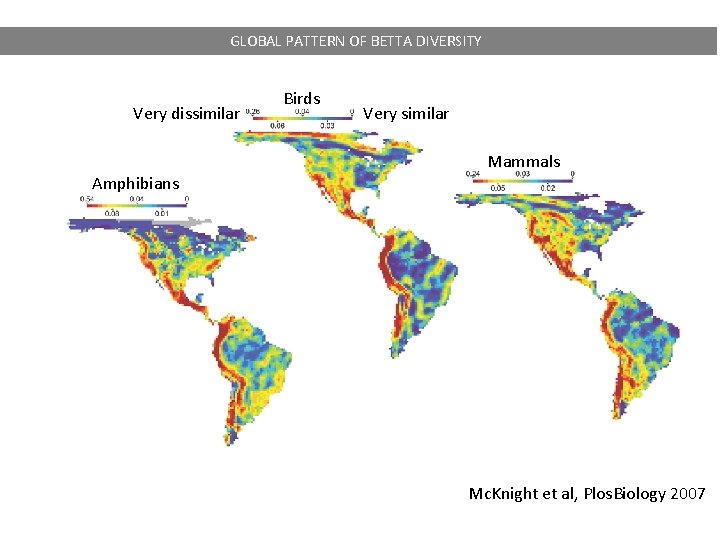 GLOBAL PATTERN OF BETTA DIVERSITY Very dissimilar Amphibians Birds Very similar Mammals Mc. Knight