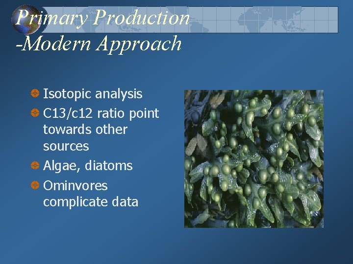 Primary Production -Modern Approach Isotopic analysis C 13/c 12 ratio point towards other sources