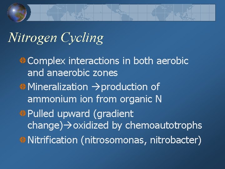 Nitrogen Cycling Complex interactions in both aerobic and anaerobic zones Mineralization production of ammonium